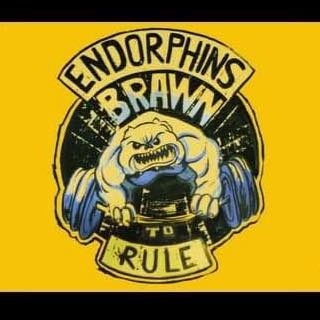 Endorphins — Brawn To Rule